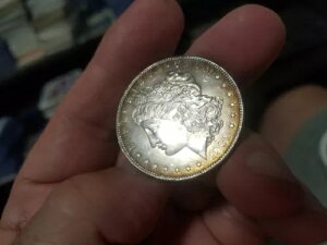 1901O K _[AS[WXȏԁA\ʂ͎RȃIW̎KFA߂!