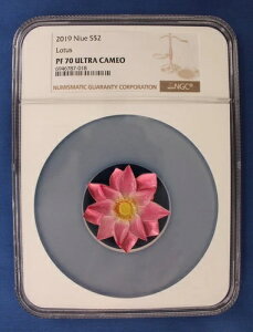 2019NjEG 1IX v[t 2h݁ufIȉ - @vNGCO[h PF70