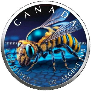 2023NTCo[r[zOtBbN[v[t1IX