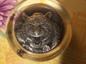 2023�N-�u���c����Ցo���b��݁v10�o�c�A�c�ݕ�