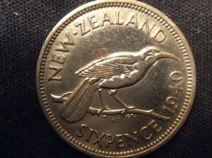 1940Nj[W[hA6yXA^Cv1AʔsA .50