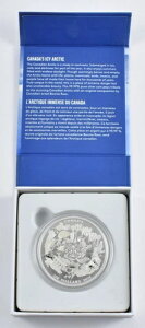 2016NJi_200h݃Ji_̕X̖kɌOGPt*9236