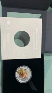 2025N S t@xWFGbO XY̗ 2IX Vo[v[tRC