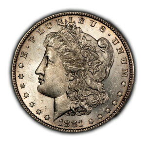 1881-S 1h KE_[ - KXZ~v[t̂悤ȃtB[h - BU - rfI - SKU-D5439