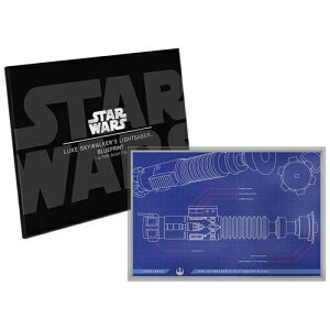 2025 X^[EH[Y u[vg [N XJCEH[J[ CgZ[o[ tHC 1 IX Vo[ RC By ...