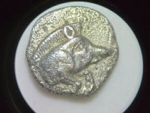 NGC �M���V����݃I�{���A�~���V�A�̃L���W�R�X�A���ƃ��C�I���A�I���O 5 ���I�A�O���[�h XF
