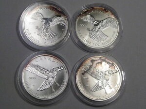 4 �g�[�� �V���o�[�u�ҋחށv 5 �h�� �J�i�_ 1 �I���X .9999: 2014 �N FALCON 2 ���� 2015 �N HAWK 2 ���B