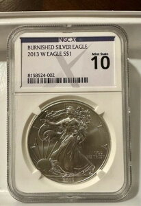 NCG-X 2013 �o�[�j�b�V���h �A�����J�� �V���o�[ �C�[�O�� �R�C�� ?? ????�p�[�t�F�N�g 10 �O���[�h!!