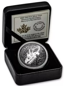 2022N Ji_ 20h ̔ - ̊p̂ 1IX 