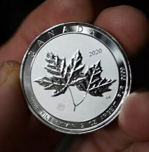 2020�N�J�i�_���[�v�����[�t�G���U�x�X2���L�O 2�I���X 9999 ���� 10�h���d�� C607 1��