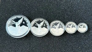 ���L�V�R ���x���^�b�h 2016 �V���o�[ .999 �v���[�t �Z�b�g 1 �I���X - 1/20 �I���X (5) �R�C��