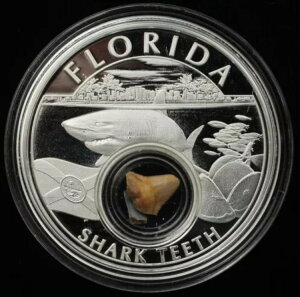 2021N AJ̕ t_̃T̎ .999 Vo[ lCeBuAJ~g