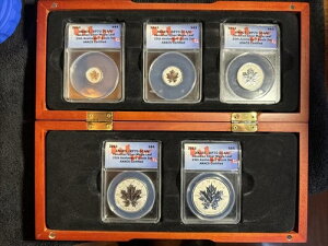 2013�N �J�i�_����25���N�L�O �V���o�[���[�v�����[�t 6���Z�b�g ANACS RP70 ���o�[�X�v��