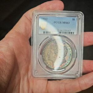 1883-O �g�[�� ���[�K�� �V���o�[ �_���[ NGC MS63 - �����X�^�[ 2x ���C���{�[ �g�[�j���O rev PL?