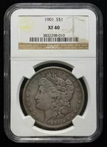 NGC 1901 �����K����� 1�h�� XF 40