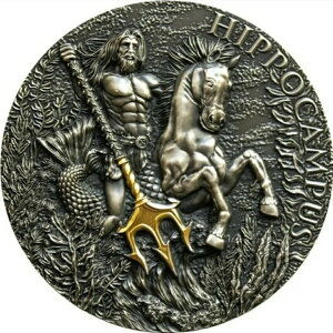 2021 2000 �t���� �J�����[�� HIPPOCAMPUS �A���e�B�[�N�d�グ 2�I���X �V���o�[ �R�C���B