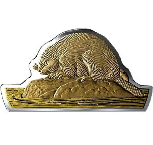 2020N 100g r[o[^ 50h Vo[ v[t 3.5IX bL Ji_ǃRC