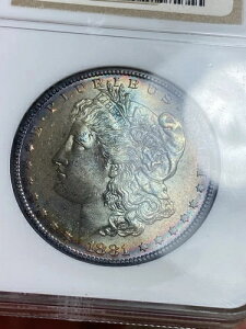 1881-S TONER �����K����� NGC MS64 �N�[���^�[�Q�b�g�g�[�j���O ����