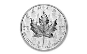 2024N Ji_ 20VK|[h [v[t  X̖쌴 NGC o[X