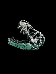 T-Rex �X�J���� 3�I���X .999 ���� ���蒒�� *TORMINT trex �R�C���o�[