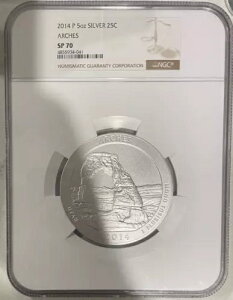 2014 P 5IX Vo[ 25 C VgNH[^[ A[` NGC SP 70