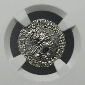 ���i���h���X1�� AR �h���N�} �M���V�� �o�N�g���A��� �I���O165/55�N��-130�N�� - NGC Ch XF