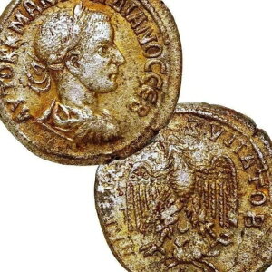 SfBAkX3BeghN}OAr̗YrhB[}鍑̑^27mm