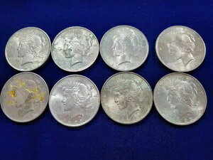 ??(8) 1922-P & D 1ha 90% RC  ꕔPVC