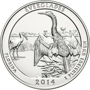 2014�N �V���o�[ 5�I���X ATB �G�o�[�O���[�Y / �t�����_
