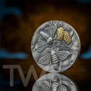 VNX lC`[A[LeNc 2IX AeB[Ndグ  10ZfB K[i 2023N