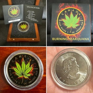 Ji_ 5h CfBJ喃 R}t@i  JifBA[v[t 2017