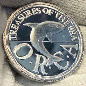 1994 �N �V�[�����h���� �n�[�t �h�� �v���[�t .999 �V���o�[ ~ �� 500 ���̂ݐ���!