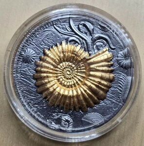 AMMONOIDEA �A�����i�C�g �A�[�X �G�{�����[�V���� 2�I���X �V���o�[�R�C�� �j�E�G 2018
