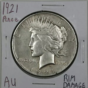 1921N 1h蕽a݁ȋAAUfBe[tj#06728