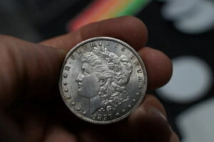 1897N AJ Kh AU BEAUTY! Ȑ_ AJ U r[eBt Vo[ C1208