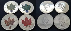 �J�i�_ ���b�g 2003 4 x 5 �h�� ���[�v�����[�t �v���r�[�}�[�N �s�[�X BU 126331 �t��