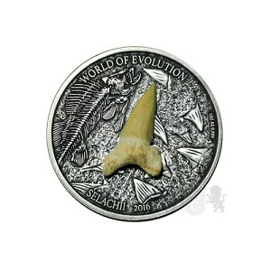 1000t Z`AV[NX - i̐E 1IX 