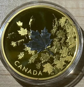 2017NJi_ 3IX o[XbL - ₭[v[t