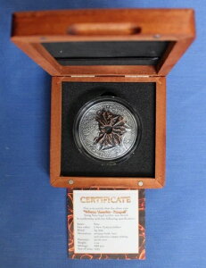 2015NjEG2IX2h݁uFXBIΎR - |yCvP[XAӒ菑t