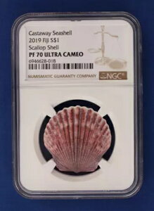 2019N tBW[ 10g  v[t 1hd݁uz^eLvNGCO[h PF70