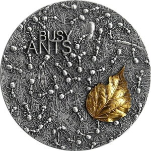 2022NK[i rW[EAg 2IX  10ZfB COA 018 z