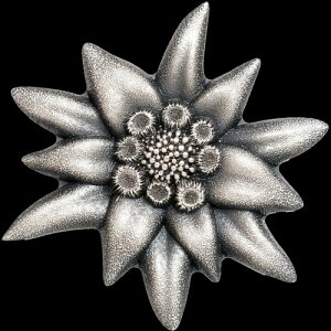 G[fCX }EeX^[  Vo[ v[t |pi 1IX RC