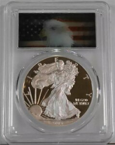 2015-W $1 1IX v[t Vo[ C[O PCGS PR70DCAM A ANV Vu `L[x