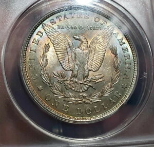1896NK݁BFg[ANACS MS63