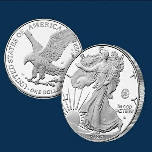 250NLO ėRAJC[O Vo[v[tRC s̔ - m