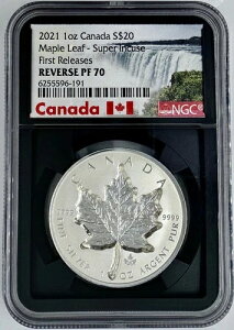 2021NJi_20h[v[tNGCo[XPR70X[p[CL[Yt@[Xg[X