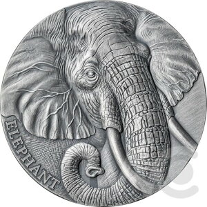 쐶̏ۂ̕\ 2IX AeB[Ndグ  J[ 2023N