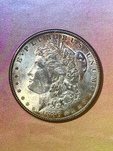 1886�N�����K���E�_���[GEM���ǂ����t�i�O���[�V�[�g$305�j����������$55����