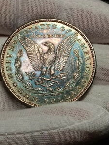 ??1882- ���[�K���E�_���[ (PL) �����ȃ��C���{�[�g�[�j���O MS/Choice - S/115