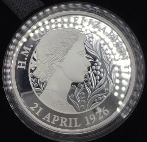 GUxX295΂̒aLO1IX݃v[t